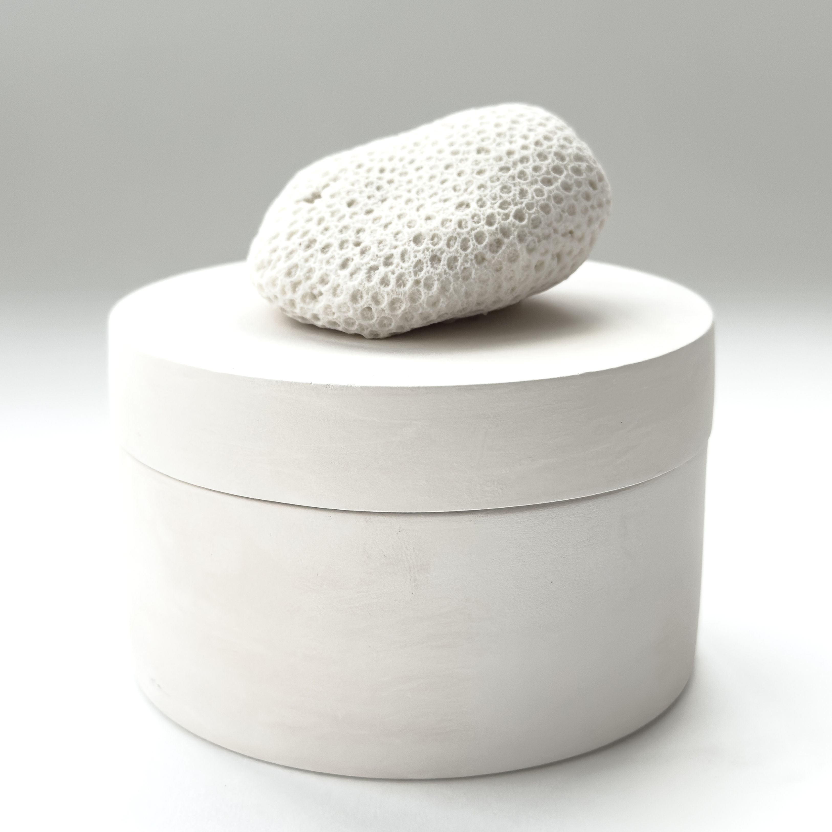 Box with coral