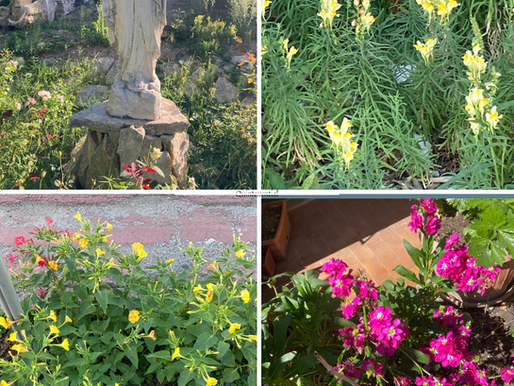 Invitation to the Wildflowers Garden