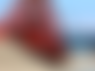 Técnicos da Conab inspecionam armazéns de MT que exportam para China e Rússia