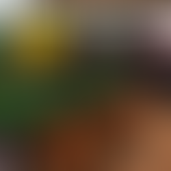 Entrega de novos implementos reforça investimentos e apoio à agricultura familiar em Jaciara-MT