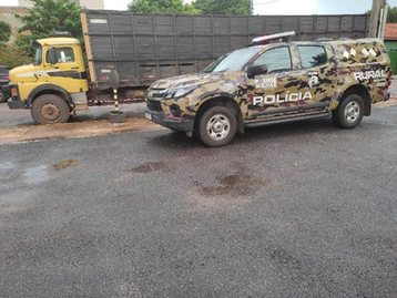 Patrulha Rural recupera 38 cabeças de gado furtadas de fazenda e prende dois homens