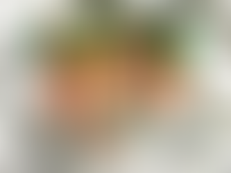 PFL: Raush, Sapato e Cappelozza podem trazer prêmio milionário ao Brasil nesta quarta