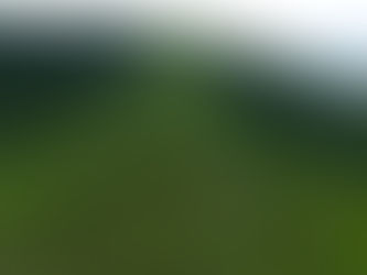 Plataforma ajuda exportação de produtos da flora e fauna brasileira