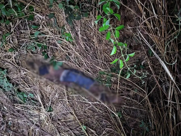 Motociclista é encontrado morto após sofrer acidente na MT-270, estrada de acesso a São Lourenço de Fátima