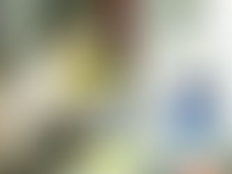 Ômicron está em 2,5% das amostras de covid-19 sequenciadas em SP