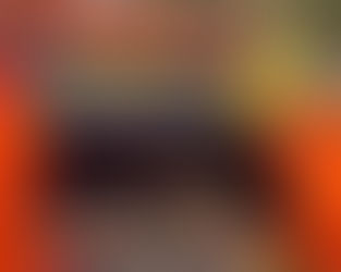 Bombeiros resgatam sucuri de cinco metros em MT