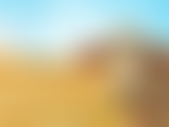 MT: projeto Fazenda Pantaneira Sustentável apresentará resultados