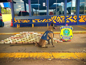 PRF apreende cerca de 70 quilos de cocaína na BR-364 e prendem dois em Rondonópolis (MT)
