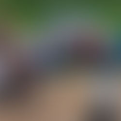 Com lançamento de 70 casas e várias inaugurações, São Pedro da Cipa comemora 34 anos com grandes avanços