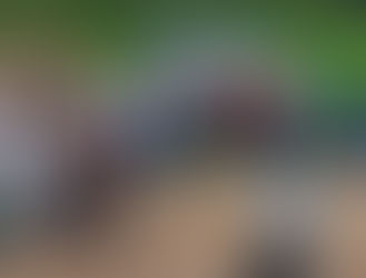 Com lançamento de 70 casas e várias inaugurações, São Pedro da Cipa comemora 34 anos com grandes avanços