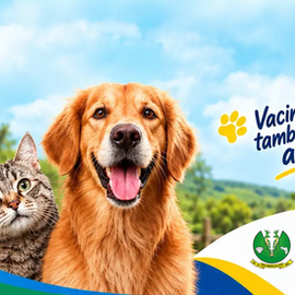São Pedro da Cipa inicia vacinação contra a raiva para cães e gatos na segunda-feira (21)