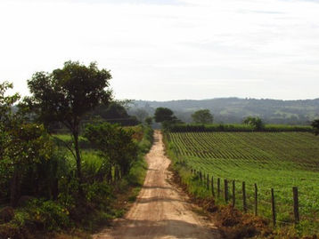 Goiás: 400 famílias ficam desabrigadas após chuvas