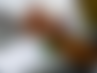 Procon e Decon fiscalizam preços dos testes de covid