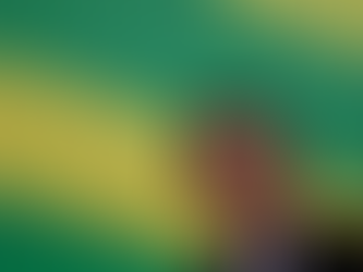 Bolsonaro justifica ausência na abertura do ano Judiciário: “Viagem nacional”