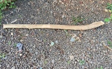 Covarde usa porrete para agredir esposa com criança no colo em MT