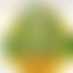 São Pedro da Cipa celebrará 34 anos de grandes avanços e conquistas na tradicional Festa do Migrante – Réveillon 2026