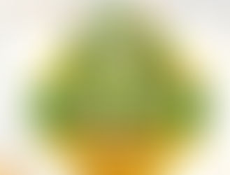 São Pedro da Cipa celebrará 34 anos de grandes avanços e conquistas na tradicional Festa do Migrante – Réveillon 2026