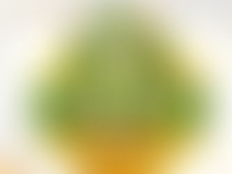 São Pedro da Cipa celebrará 34 anos de grandes avanços e conquistas na tradicional Festa do Migrante – Réveillon 2026