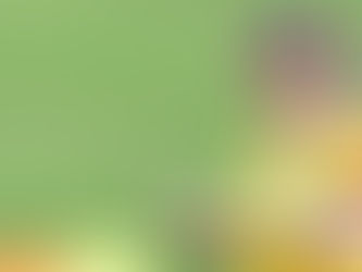 Árbitra assistente da FMF é a 1ª mato-grossense a ser escalada para jogo da Série A: “Um sonho”