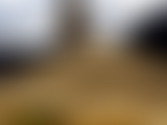 Vendas de soja de MT avançam para 44,4% da safra 21/22, diz Imea