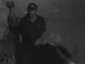 Homem montado a cavalo é flagrado assaltando casa