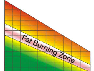 What IS the Fat Burning Zone?