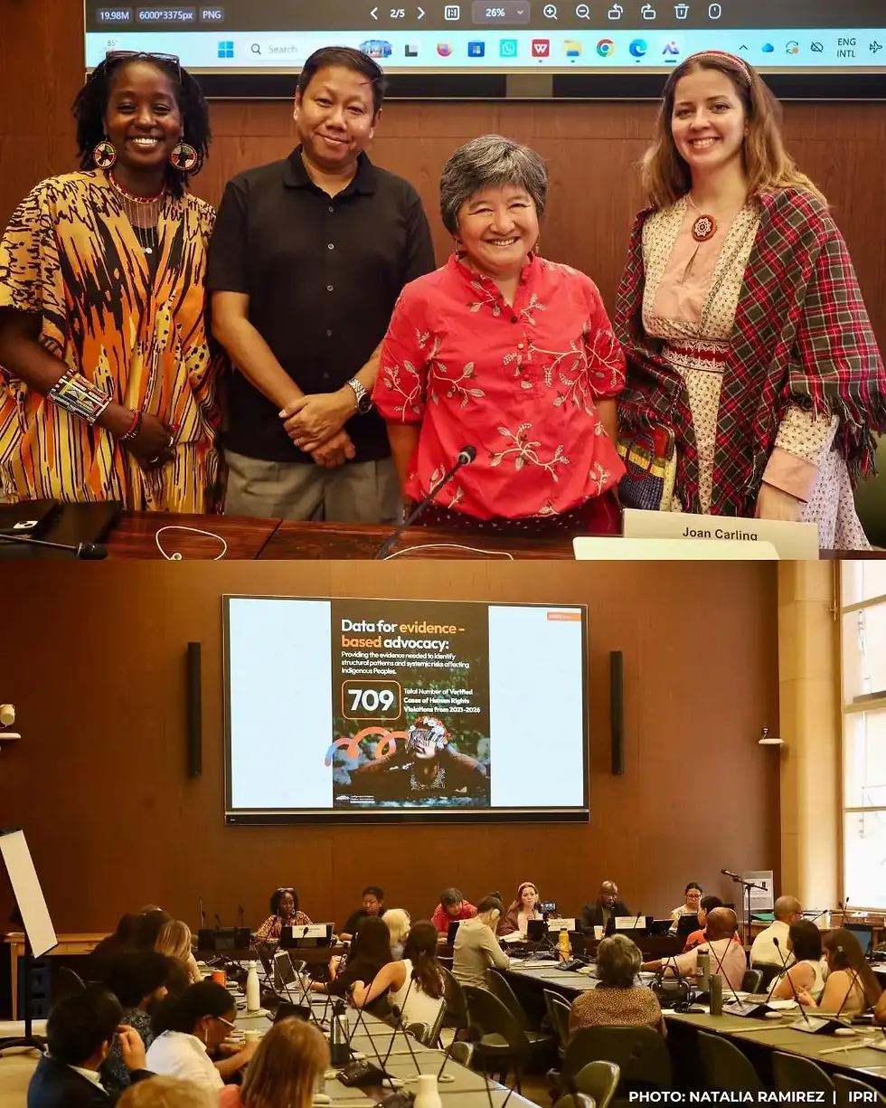 Documentation as Protection: Persecution of Indigenous Peoples Discussed at EMRIP