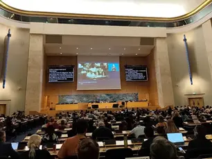 Who Has the Right to Speak on Behalf of Indigenous Peoples? A Debate on UN Representation Unfolded at the EMRIP Session