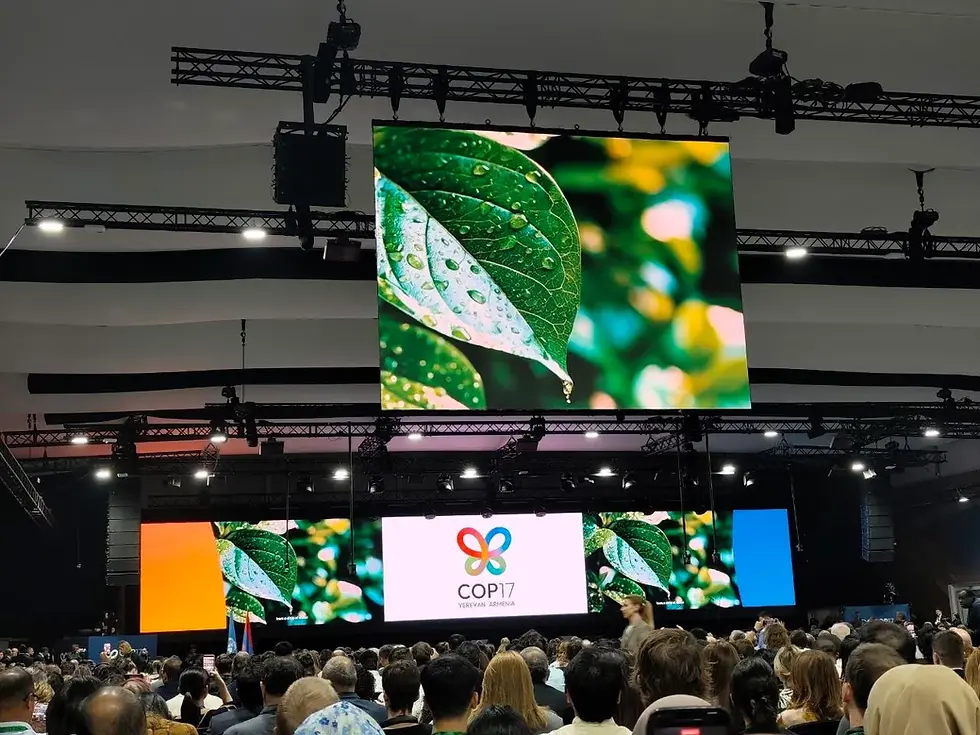 Dispute Over Indigenous Representation at COP17: Why the Case of Daria Egereva and Natalia Leongardt Matters