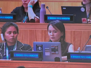 “We did not leave by choice”: UN hears of repression and exile of Indigenous rights defenders from Russia