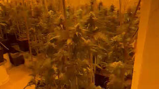 רחוק מהבית לא רחוק מהעין הכחולה