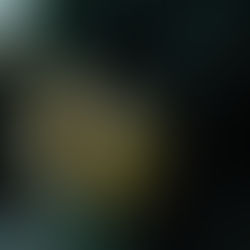 משטרת המחוז הצפוני עוצרת 4 חשודים ברצח הצעירה ביאן עבאס מכפר כנא אמא ל-2