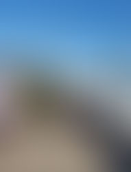 תאונת דרכים רבת נפגעים על יד גינוסר בכביש 90