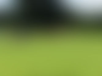 Parkrun 1st Anniversary