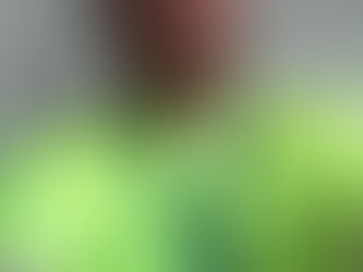 PB's smashed at Shepperdine Half and Full Marathon.