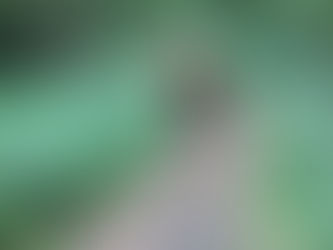 The first XC event of 2018/19 season