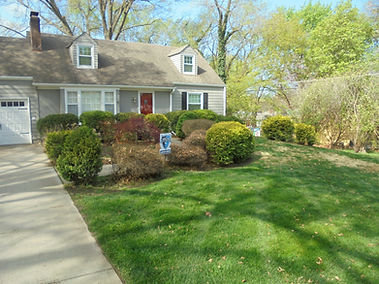 L scapes plus logan 2015 001.JPG