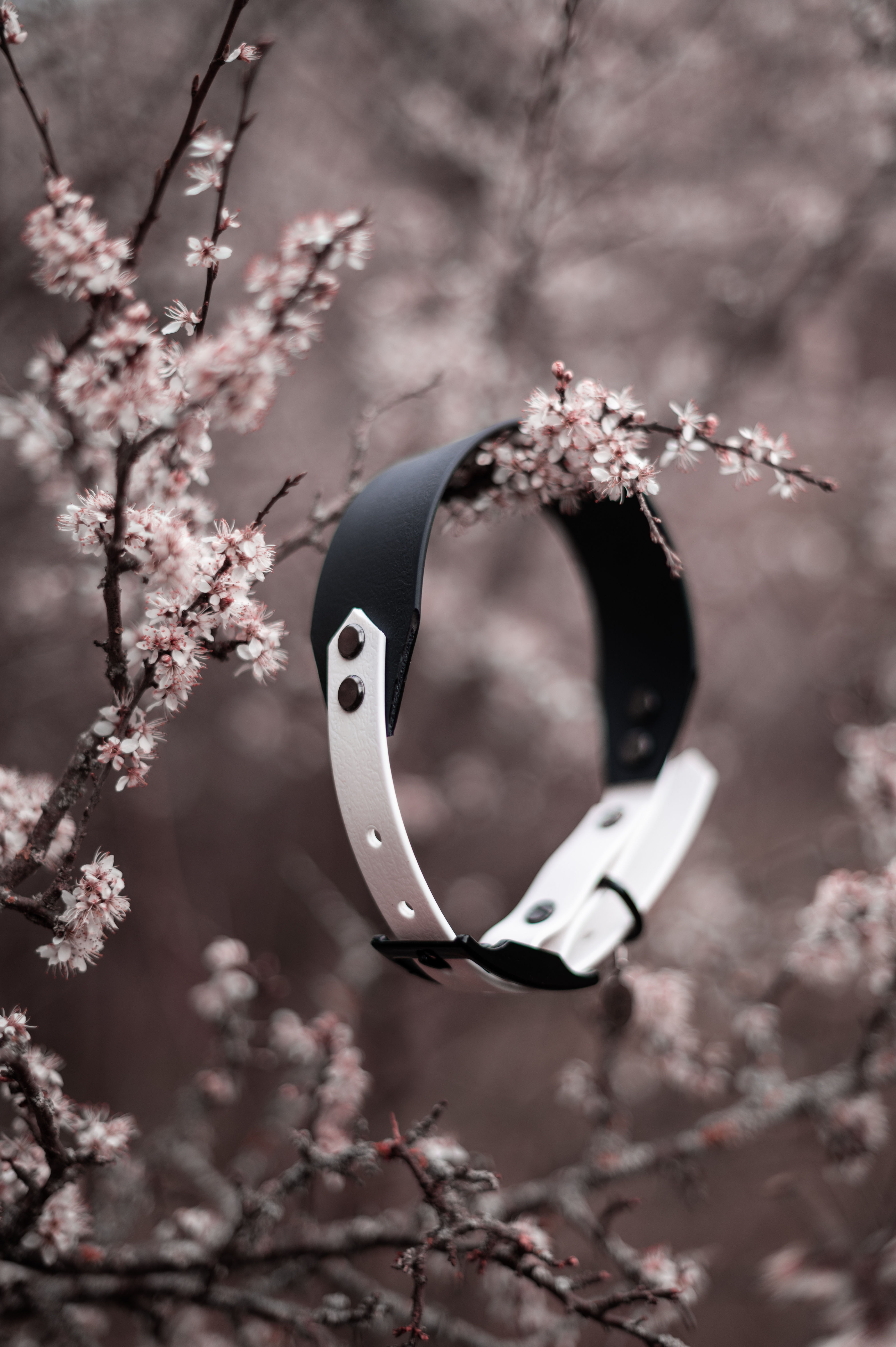 Collar Biothane Wanderer