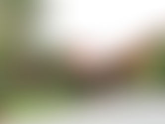 Dia dos Pais na Estaleiro Guest House terá churrasco