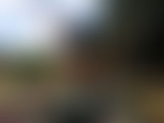 Elba Ramalho anima o pré-carnaval de São Paulo com seu bloco Frevo Mulher