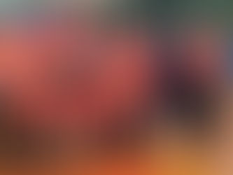 Itapema garante bons resultados no Circuito Estadual de Bisas e Bisos de Vôlei adaptado