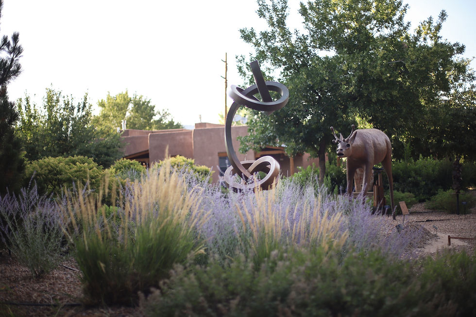 Sculpture Garden & Art Walk in Northern New Mexico