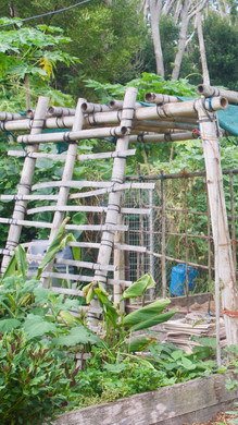 Permaculture Workshops