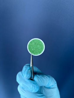 Chroomonas, filtered