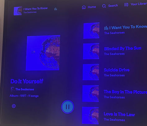 What an album this is! #90s #TheSeahorses !!!! Takes me back! Blinded by the sun
Love is the law
Love me and leave me
I want you to know.