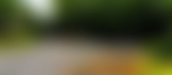 ๐จ A 14-year-old girl was raped by a stranger in broad daylight in Swaythling woods, #Southampton, yesterday afternoon.