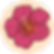 Ohana