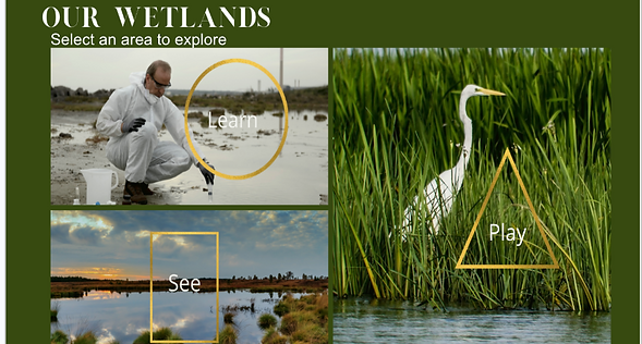 Screenshot 2025-04-18 at 7.23.57 PM.png