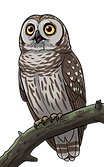 image-removebg-preview - 2025-10-22T150743.678.png