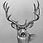Thumbnail: Mule Deer